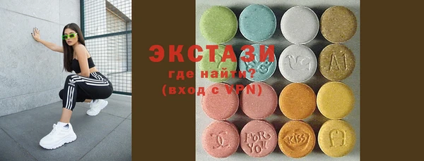 индика Пестово