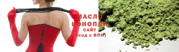 индика Пестово