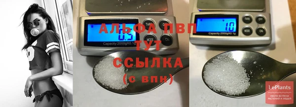 индика Пестово