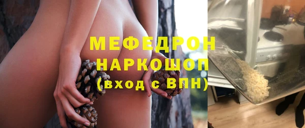 индика Пестово