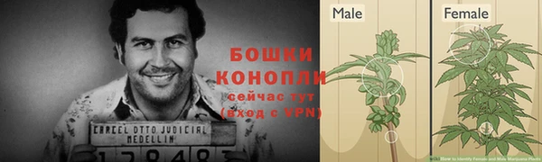 мяу мяу кристалл Переславль-Залесский