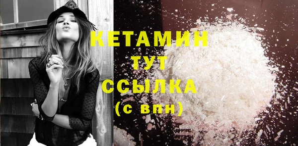 индика Пестово