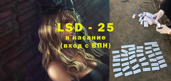 индика Пестово