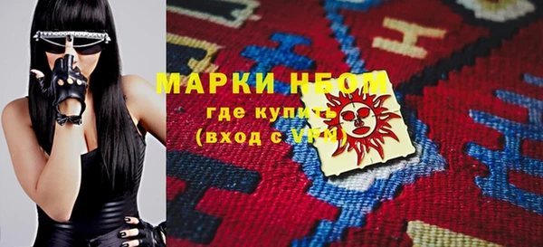 индика Пестово