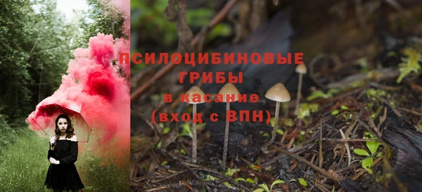 индика Пестово