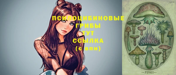 прущая мука Покачи