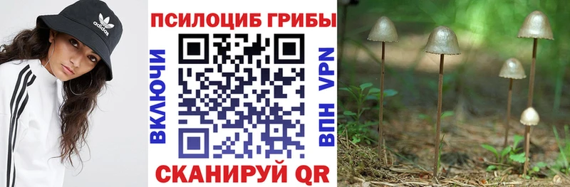 Галлюциногенные грибы Psilocybe Липки